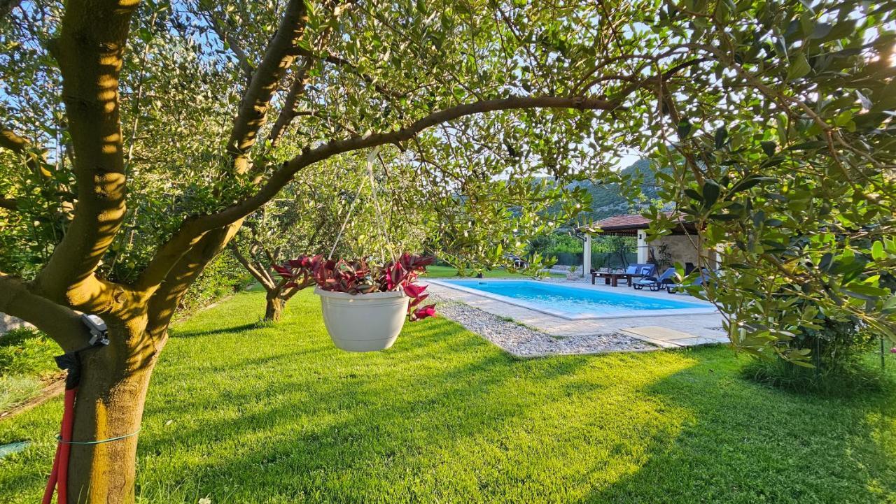 Holiday Home Natura With Private Pool 莫斯塔尔 外观 照片